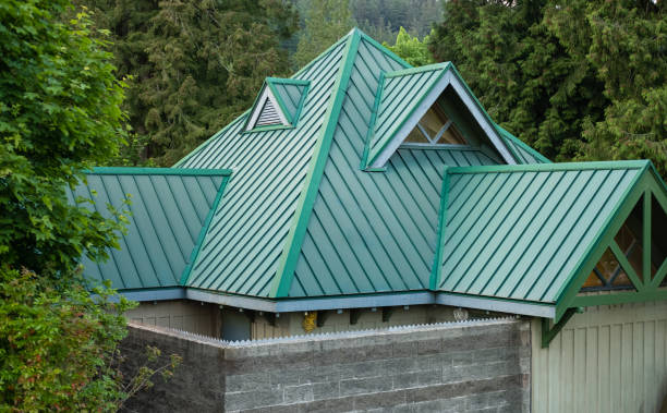 Best Roof Maintenance and Cleaning  in Brookfield, IL