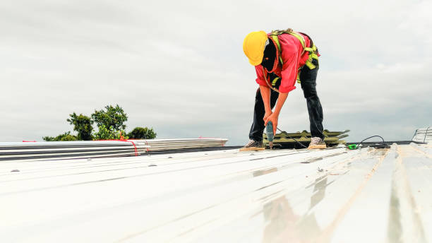 Best Metal Roofing Installation  in Brookfield, IL