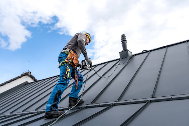 Best Roof Maintenance and Cleaning  in Brookfield, IL
